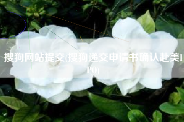 搜狗网站提交(搜狗递交申请书确认赴美IPO)