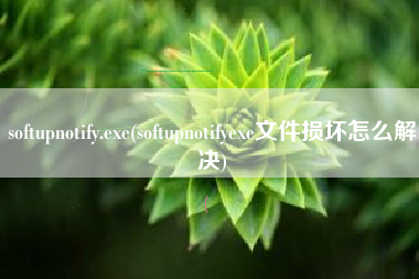 softupnotify.exe(softupnotifyexe文件损坏怎么解决)
