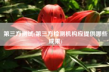 第三方测试(第三方检测机构应提供哪些成果)