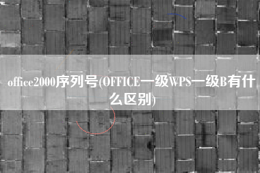 office2000序列号(OFFICE一级WPS一级B有什么区别)