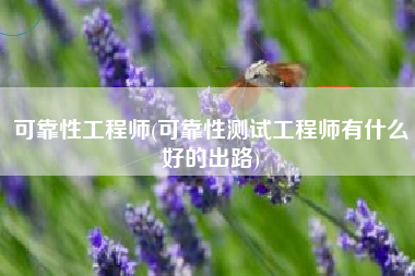 可靠性工程师(可靠性测试工程师有什么好的出路)