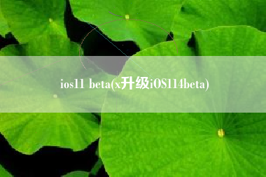 ios11 beta(x升级iOS114beta)