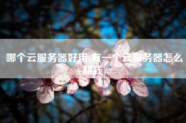 哪个云服务器好用(有一个云服务器怎么赚钱)