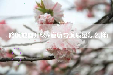 e路航地图升级(e道航导航质量怎么样)