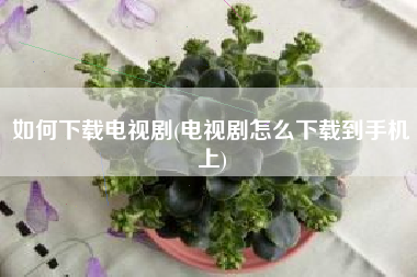 如何下载电视剧(电视剧怎么下载到手机上)
