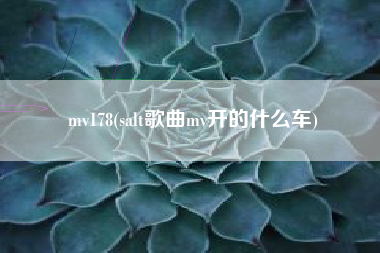 mv178(salt歌曲mv开的什么车)