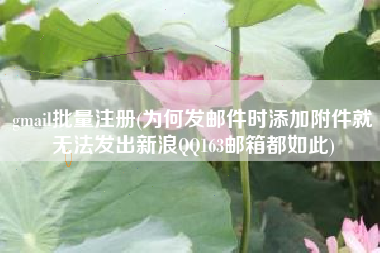 gmail批量注册(为何发邮件时添加附件就无法发出新浪QQ163邮箱都如此)