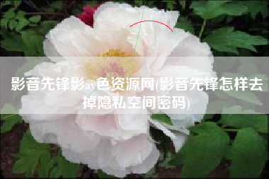 影音先锋影av色资源网(影音先锋怎样去掉隐私空间密码)