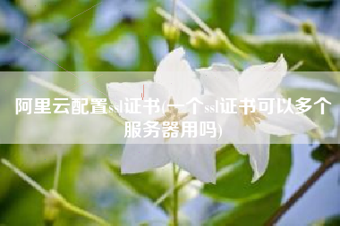 阿里云配置ssl证书(一个ssl证书可以多个服务器用吗)
