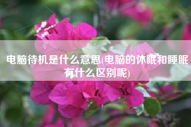 电脑待机是什么意思(电脑的休眠和睡眠有什么区别呢)