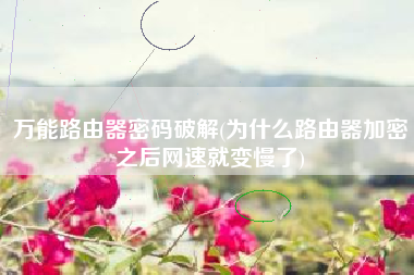 万能路由器密码破解(为什么路由器加密之后网速就变慢了)