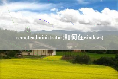 remoteadministrator(如何在windows)