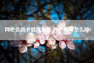 网吧会员卡管理系统(网吧机号怎么排)