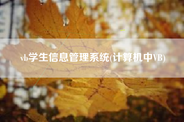 vb学生信息管理系统(计算机中VB)