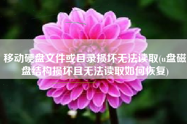移动硬盘文件或目录损坏无法读取(u盘磁盘结构损坏且无法读取如何恢复)