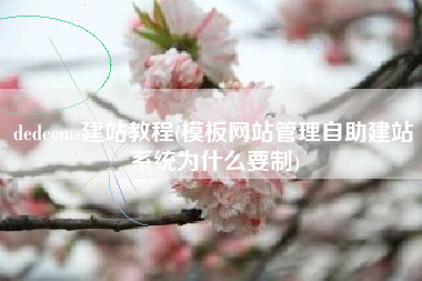 dedecms建站教程(模板网站管理自助建站系统为什么要制)