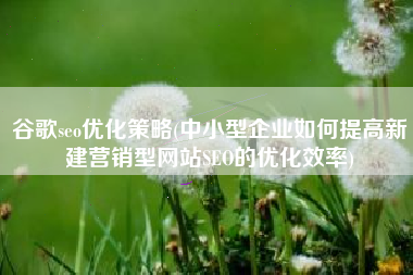 谷歌seo优化策略(中小型企业如何提高新建营销型网站SEO的优化效率)