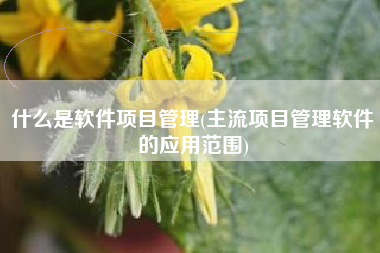 什么是软件项目管理(主流项目管理软件的应用范围)