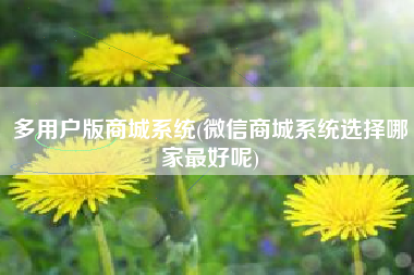 多用户版商城系统(微信商城系统选择哪家最好呢)