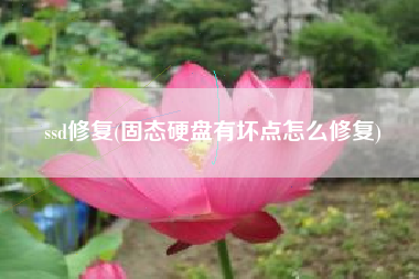 ssd修复(固态硬盘有坏点怎么修复)