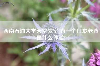西南石油大学天空教室(有一个日本老婆是什么体验)