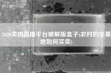 2020卖肉直播平台破解版盒子(农村的宅基地如何买卖)