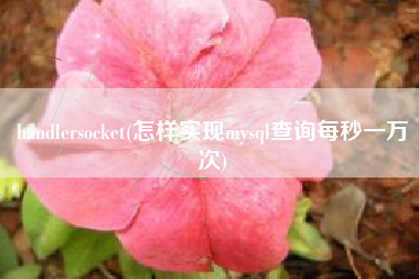 handlersocket(怎样实现mysql查询每秒一万次)