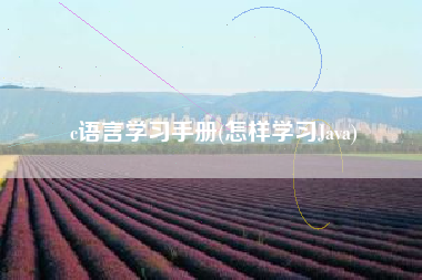 c语言学习手册(怎样学习Java)