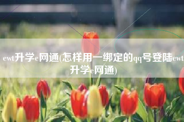 ewt升学e网通(怎样用一绑定的qq号登陆ewt升学e网通)