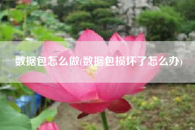 数据包怎么做(数据包损坏了怎么办)