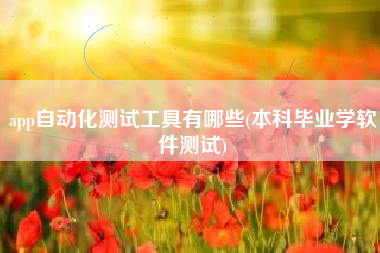 app自动化测试工具有哪些(本科毕业学软件测试)