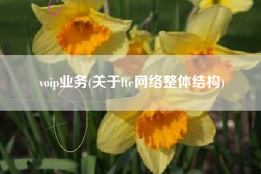 voip业务(关于lte网络整体结构)