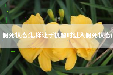假死状态(怎样让手机暂时进入假死状态)