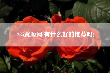 235资源网(有什么好的推荐吗)