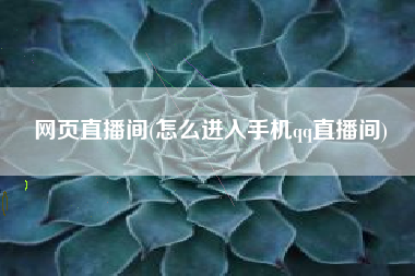 网页直播间(怎么进入手机qq直播间)