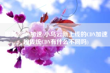 服务器cdn加速(小鸟云新上线的CDN加速和传统CDN有什么不同吗)