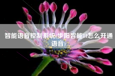 智能语音控制系统(步阳智能11怎么开通语音)