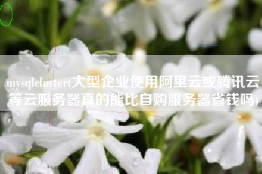 mysqlcluster(大型企业使用阿里云或腾讯云等云服务器真的能比自购服务器省钱吗)