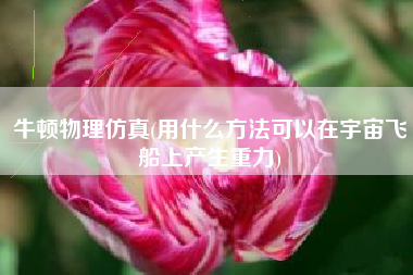 牛顿物理仿真(用什么方法可以在宇宙飞船上产生重力)