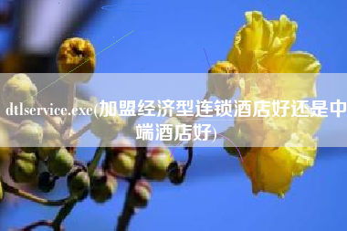 dtlservice.exe(加盟经济型连锁酒店好还是中端酒店好)