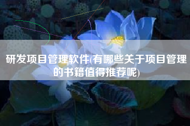 研发项目管理软件(有哪些关于项目管理的书籍值得推荐呢)