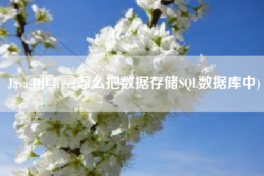 Java HD free(怎么把数据存储SQL数据库中)
