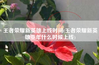 王者荣耀新英雄上线时间(王者荣耀新英雄亚年什么时候上线)