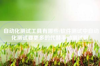 自动化测试工具有哪些(软件测试中自动化测试要更多的代替手动测试吗)
