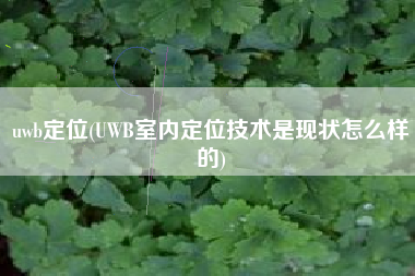 uwb定位(UWB室内定位技术是现状怎么样的)