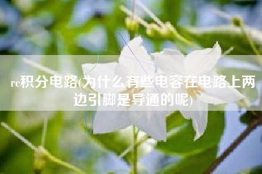 rc积分电路(为什么有些电容在电路上两边引脚是导通的呢)