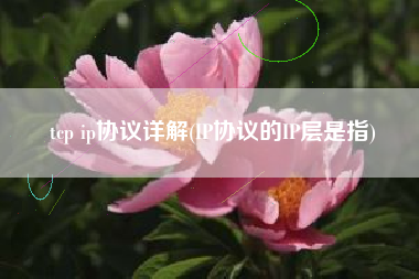 tcp ip协议详解(IP协议的IP层是指)