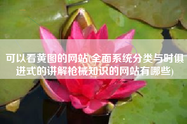 可以看黄图的网站(全面系统分类与时俱进式的讲解枪械知识的网站有哪些)