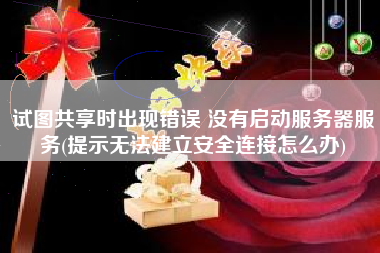 试图共享时出现错误 没有启动服务器服务(提示无法建立安全连接怎么办)