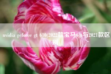 nvidia geforce gt 610(2022款宝马6gt与2021款区别)